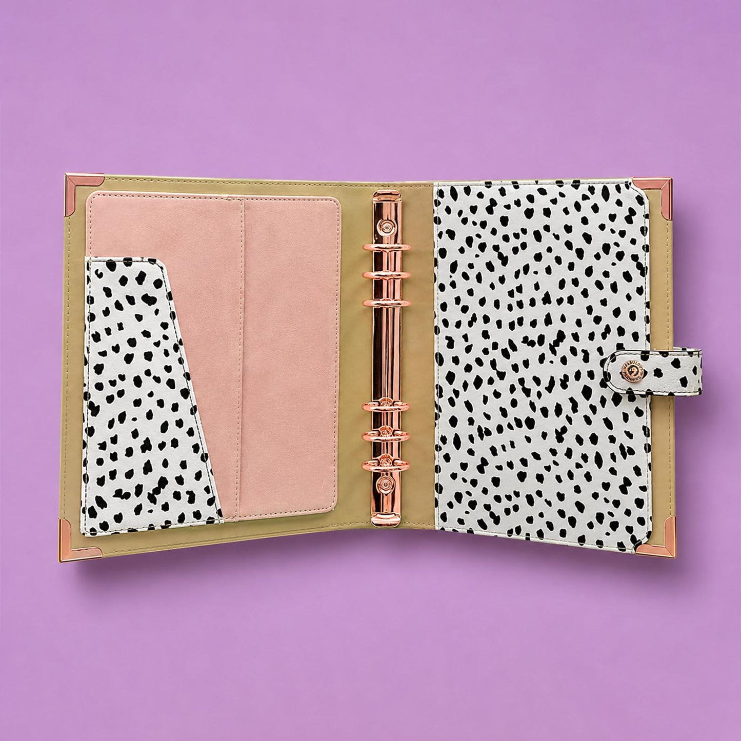The Build-An-Organiser Experience