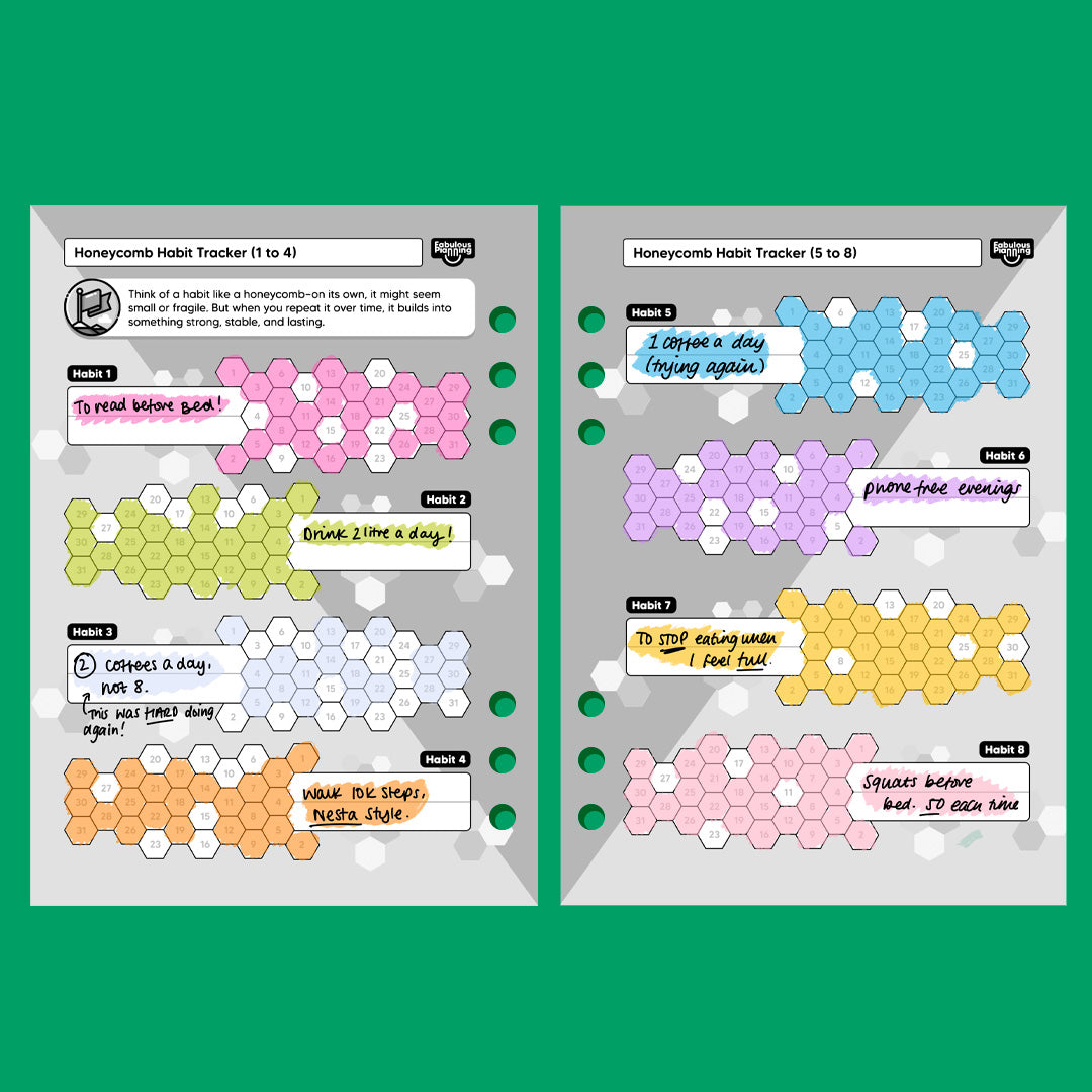 Calorie Food Diary - A6 Organiser Insert