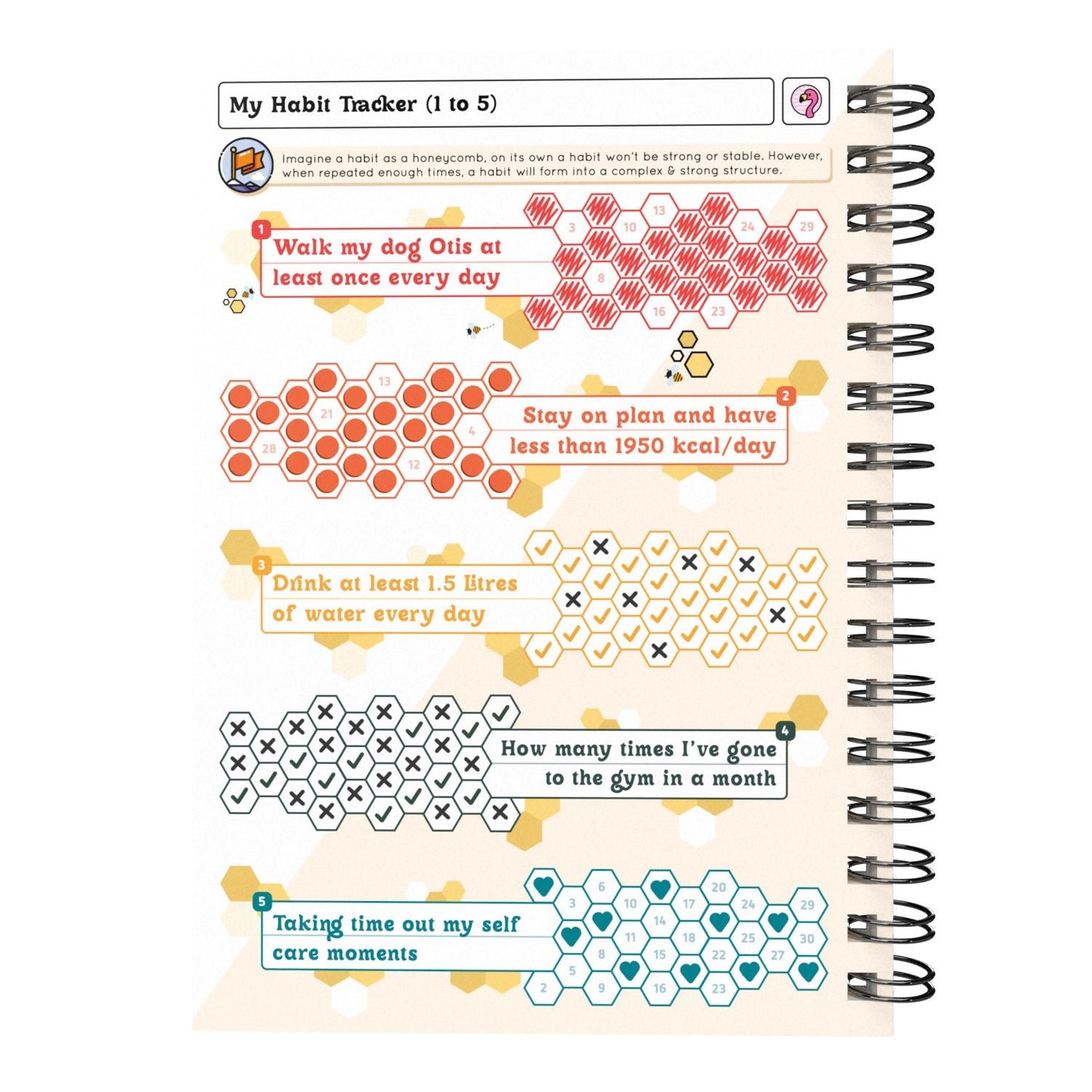 Food Diary - C10 - Calorie Counting - Fabulous Planning - [W] 3MTH - CAL - C10+