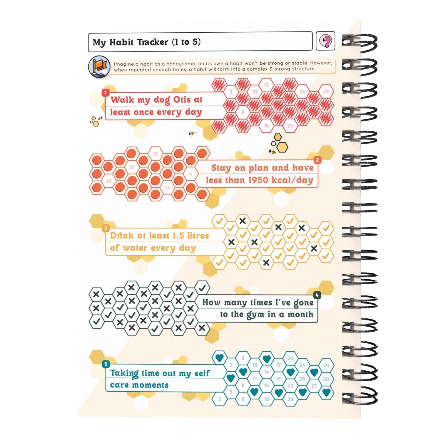 Food Diary - C10 - Calorie Counting - Fabulous Planning - [W] 3MTH - CAL - C10+