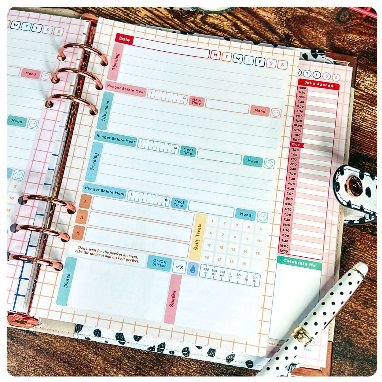 Slimming World - Spacious - Organiser Refill - Fabulous Planning - P4 - SP3 - 7WK - REFILL