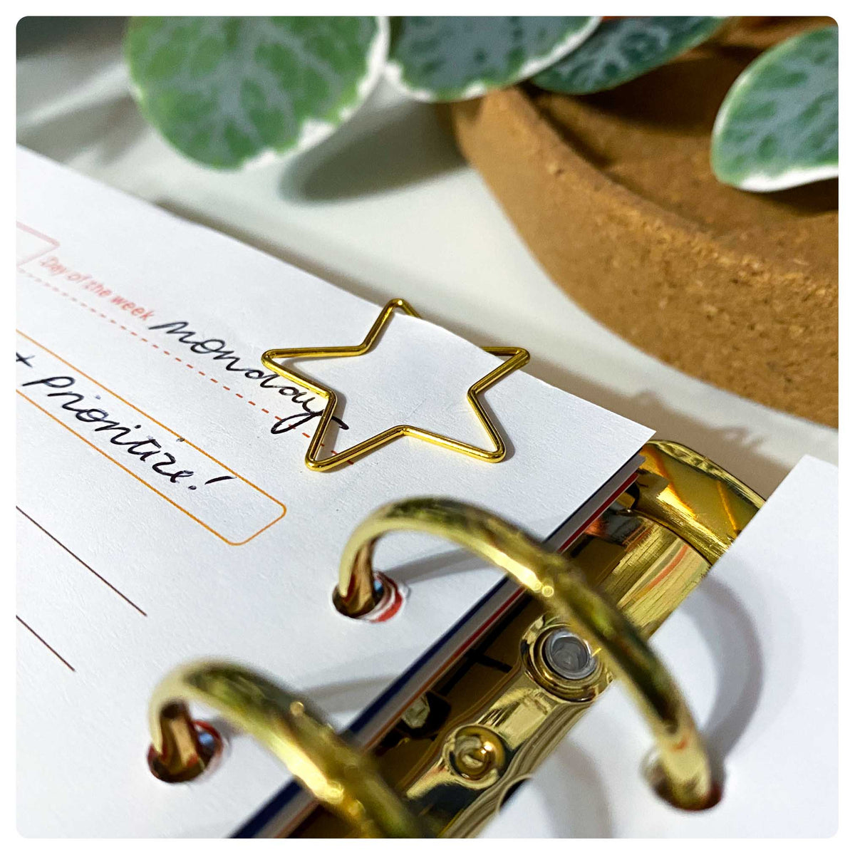 Star Paperclip Star - Gold - Paperclip – Fabulous Planning